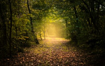 Et si la clé de votre bien-être se trouvait juste à côté ? Découvrez mon expertise en hypnose à Rambouillet